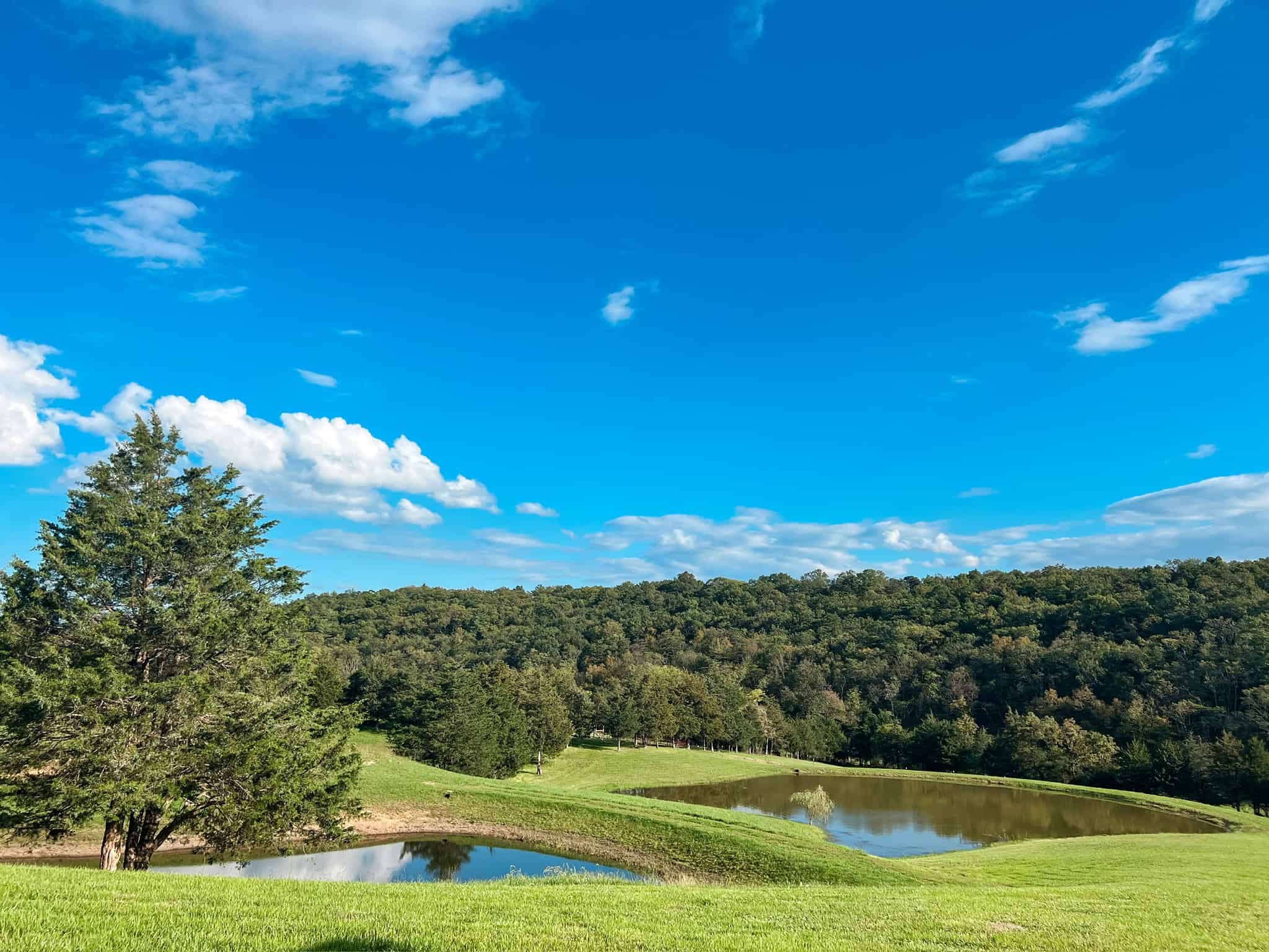Blue skies over two of the three scenic ponds at Canaan Springs, a picturesque Northern VA wedding venue perfect for waterside ceremonies.